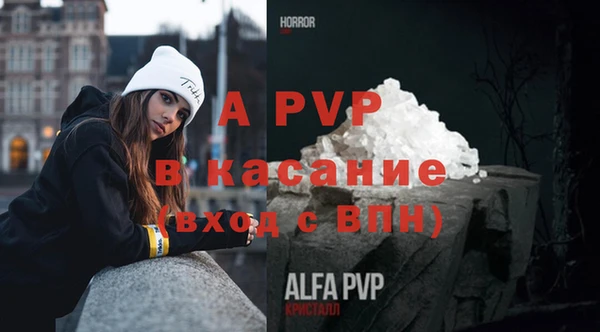 сатива Абинск