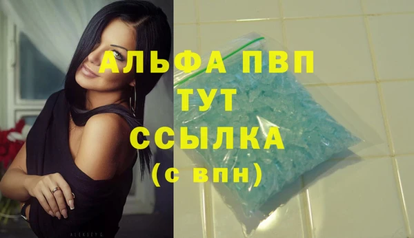 сатива Абинск