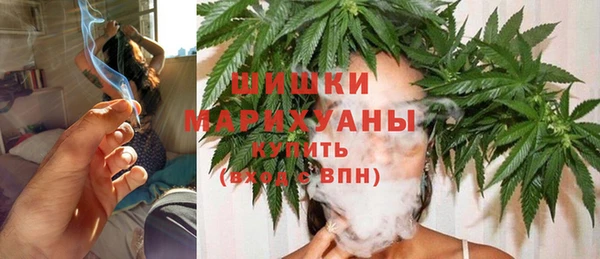 сатива Абинск