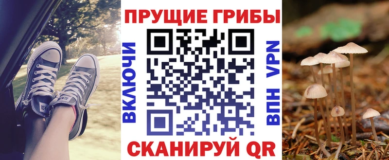 кракен вход  Тула  Псилоцибиновые грибы мицелий 